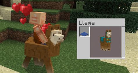 Controllable Llama Addon Minecraft Pe Mods And Addons