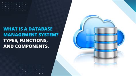 What Is A Database Management System Types Functions And Components