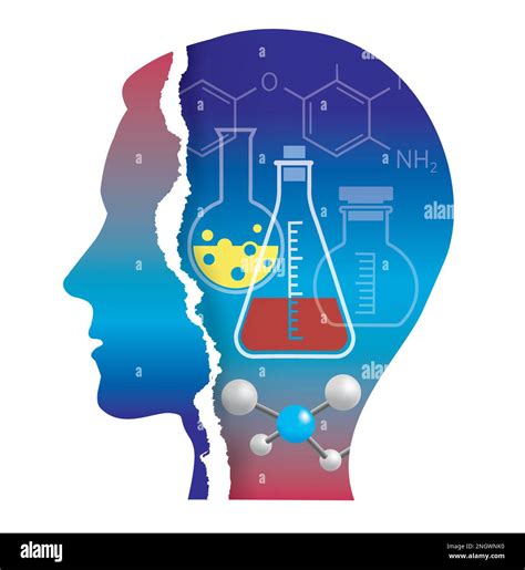 Estudiante De Qu Mica Bioqu Mica Silueta De Papel Rasgado Cabeza