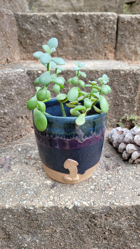 Medium Naked Male Planter Succulent Pot Brightly Glazed Etsy