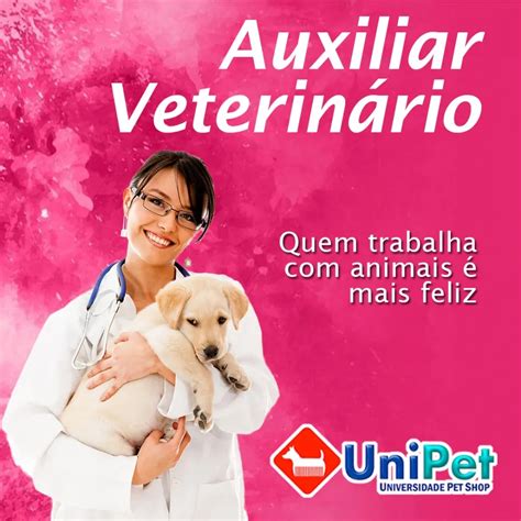 Unipet Curso De Auxiliar Veterinário Artur Alvim