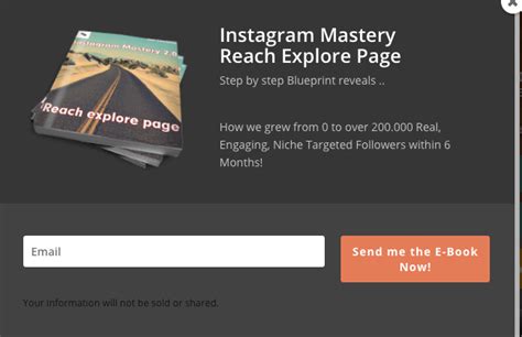 5 Ways To Generate High Quality Leads On Instagram How To Get Leads