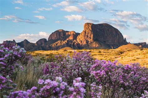 Big Bend National Park - Kids | Britannica Kids | Homework Help