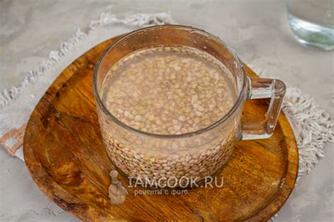 Йогурт из зеленой гречки — рецепт с фото пошагово