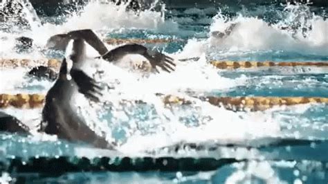 Olympics Swimming Olympics Swimming Discover Share GIFs