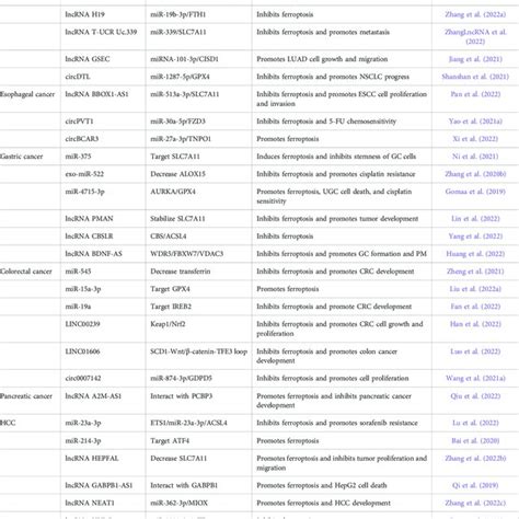 Regulatory Pathways And Functions Of Ferroptosis Related Ncrnas In