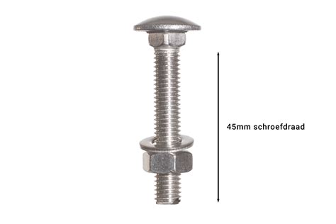 Carriage Bolts Stainless Steel M X Mm Quick Delivery