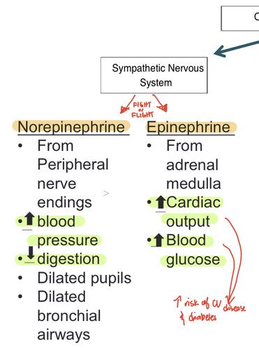 Etiology Of Bipolar Disorder Flashcards Quizlet