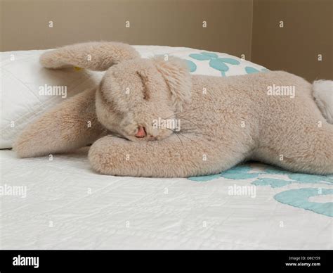 Steiff Stuffed Rabbit On Bed Stock Photo Alamy