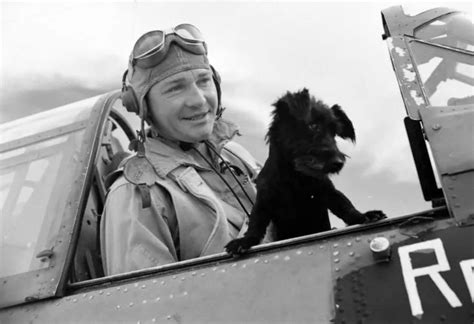 Ww2 Photo Wwii Us Navy Pilot And Dog Midway Atoll 1942 World War Two