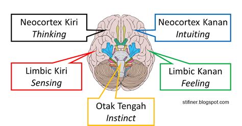 Tes Sidik Jari Stifin Penjelasan Dan Perbedaan 5 Lima Mesin