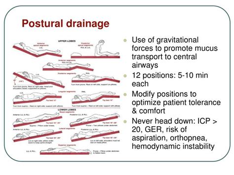 Postural Drainage Ppt