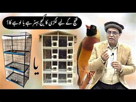 Wood Cage Or Iron Cage Which One Best For Finches Finches Breeding