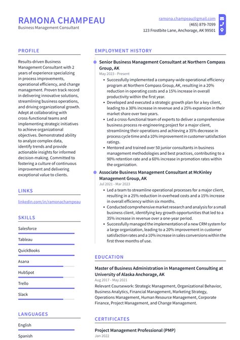 Top 16 Business Management Consultant Resume Objective Examples