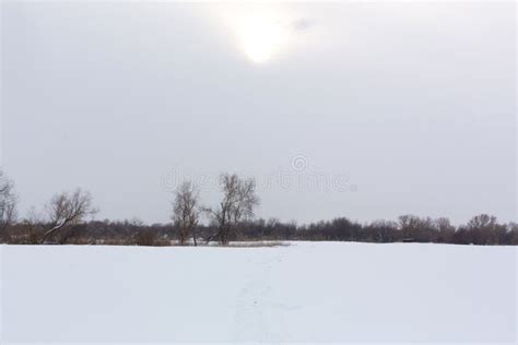 Winter Landscape, Snow Blizzard in the Field Stock Image - Image of ...