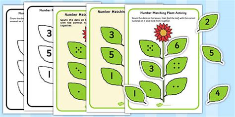 Number Matching Plant Activity Teacher Made Twinkl