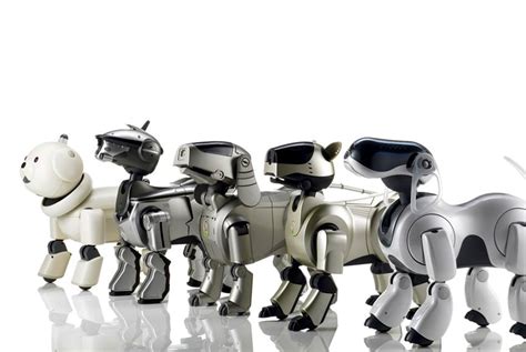 Sony Aibo robot dog now on sale in the U.S. - Curbed