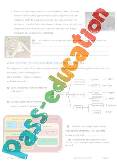 Classification Des Tres Vivants Exercices Eme Primaire Pass