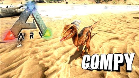 Ark survival evolved compy taming food