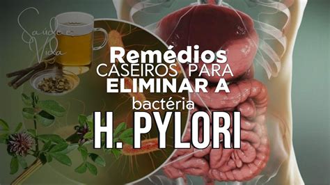 Remédios Caseiros Para Eliminar a Bactéria H Pylori YouTube