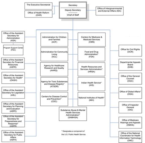 Hhs Organizational Chart Amulette