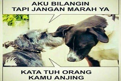 18+ Gambar Anjing Marah Meme - inem gambar