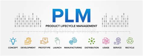 Plm Product Lifecycle Management Concept Vector Icons Set Infographic