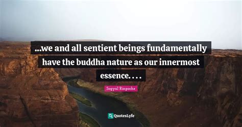 We And All Sentient Beings Fundamentally Have The Buddha Nature As