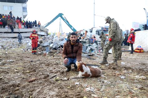 Rescue dogs: Unsung saviors of Türkiye's earthquake victims | Daily Sabah