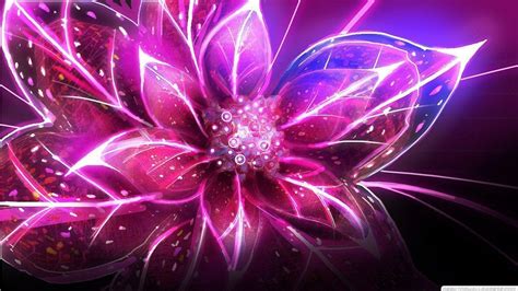 Pink And Purple Flower Backgrounds Wallpaper Cave