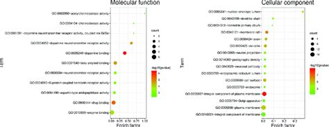 Enrichment Analyses For Constituents AD PD Common Targets Molecular