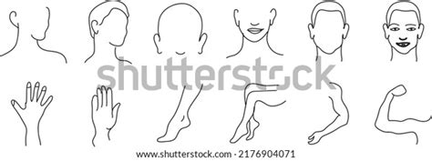 Vector Image Set Female Body Parts Stock Vector Royalty Free