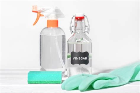 Cleaning Vinegar vs. White Vinegar – What’s the Difference?