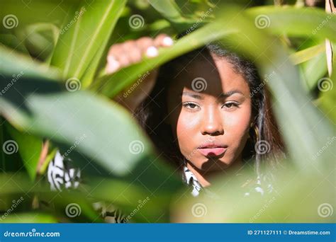 Retrato De Uma Jovem E Bela Latina E Sul Americana Dentro De Um Grupo De Folhas Verdes
