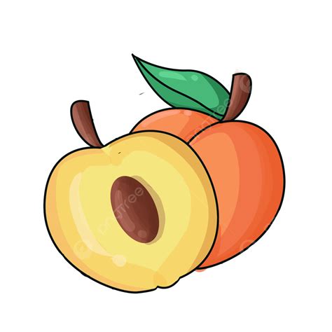 Peach Clip Art