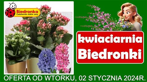 𝐁𝐈𝐄𝐃𝐑𝐎𝐍𝐊𝐀 Nowa Oferta od Wtorku 02 01 2024 Kwiaciarnia Biedronki