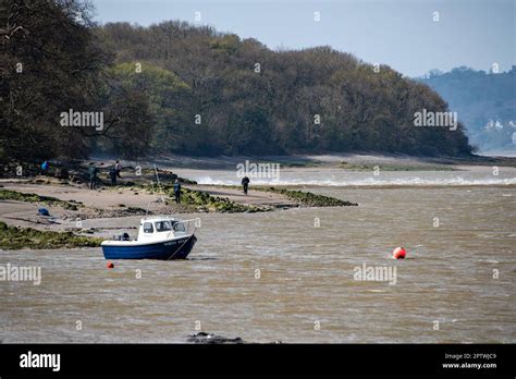 The Arnside Tidal Bore Traveling Up The Kent Estuary At Arnside