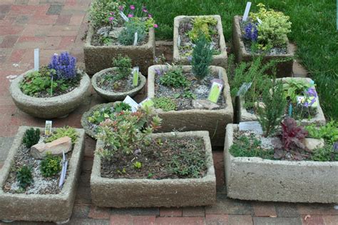 Drought Tolerant Container Gardens Beyond The Traditional Ecological