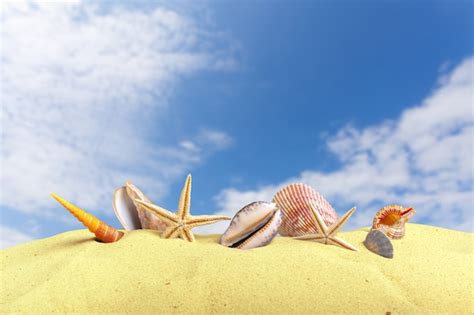 Premium Photo | Starfish seashells on the beach