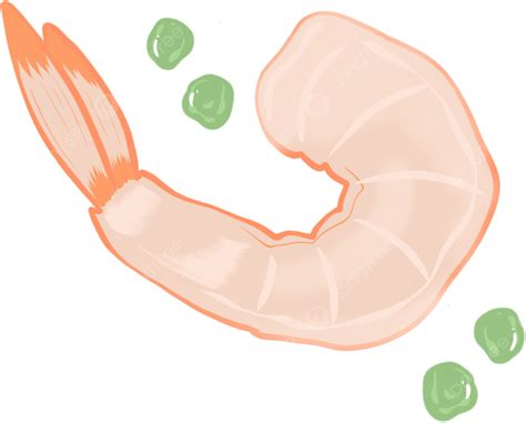 Camarones Y Guisantes Cocinados A Mano Png Camarones Guisantes Pintado A Mano Png Y Psd Para