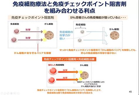 新抗原树突细胞疫苗与免疫检查点抑制剂联合疗法的宣讲会 日本劳动厚生省认定【日本就医网】