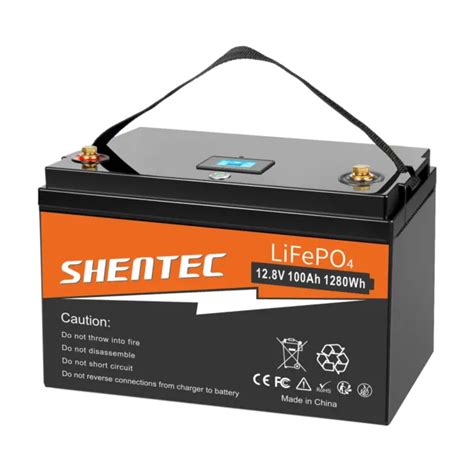 Lifepo V Ah Batteria Al Litio Bms Ciclo Solare Profondo Golf Off