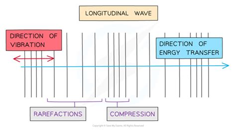 Transverse And Longitudinal Waves Sl Ib Physics Revision Notes 2025 Save My Exams