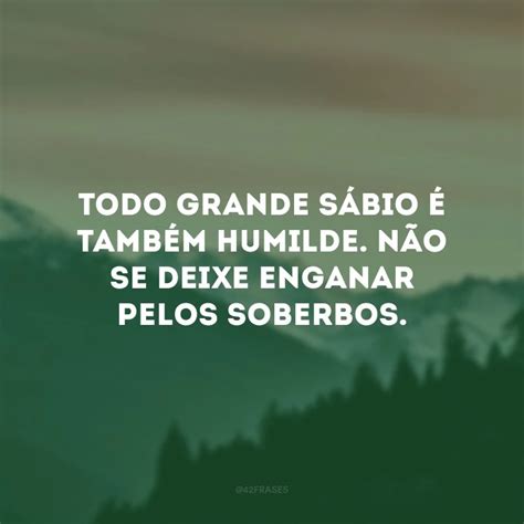 Frases De Humildade E Sabedoria Que Trar O Reflex Es Profundas