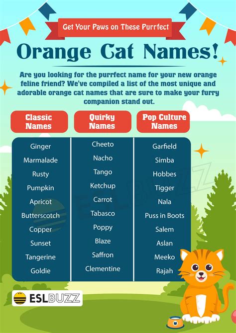 Orange Cat Names 50 Creative Ideas For Naming Your Feline Friend