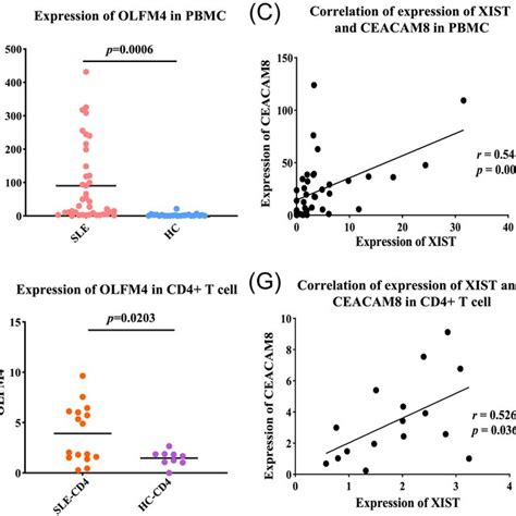 Function And Regulatory Mechanism Of Xinactivespecific Transcript