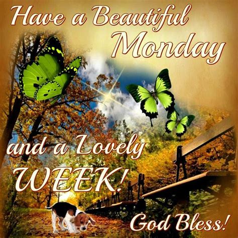 Have A Beautiful Monday And Lovely Week Pictures Photos And Images