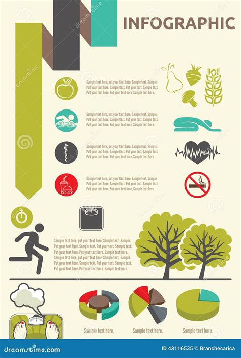 Healthy Lifestyle Infographic Stock Vector - Image: 43116535