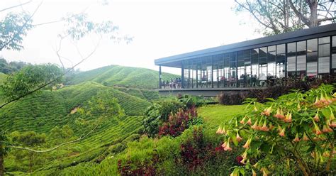 Vinatravelers Blog Cameron Highlands Resort The Most Elegant