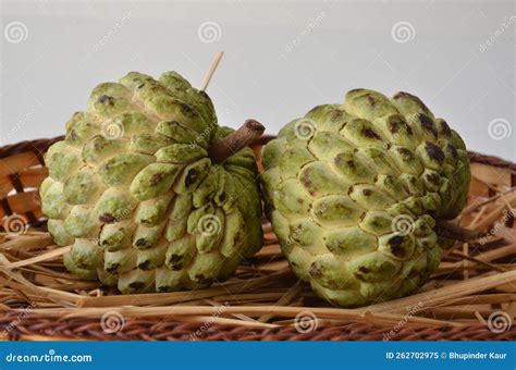 The Sugar Apple Or Sweet Sop Edible Fruit Of Annona Squamosa Thick